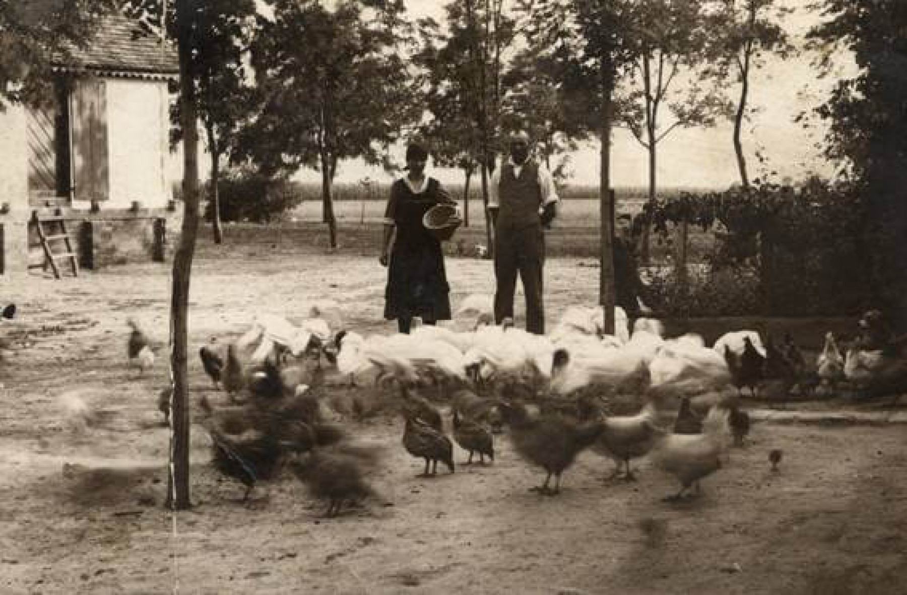 VALDOR.hu