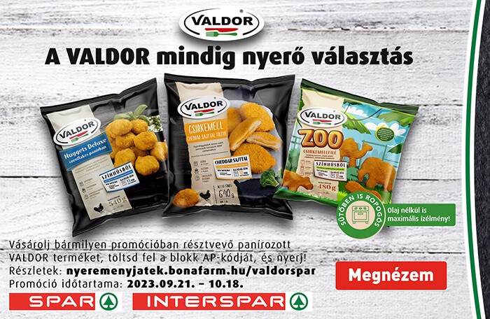VALDOR.hu